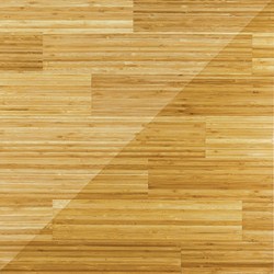 sample of Bamboo Species hardwood floors