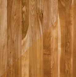 Beech Species wood flooring sample