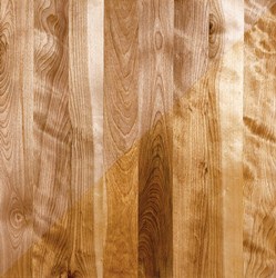 up close look at a Birch Species hardwood floor