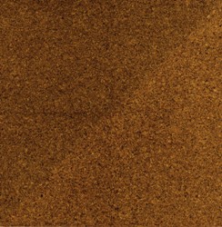 Cork Species wood floor sample