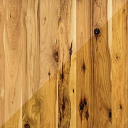 Cypress Species wood flooring