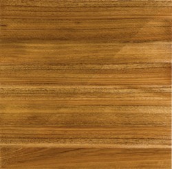 up close look at Spotted Gum Species wood flooring
