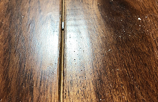 problem prevention underway with a gap in a wood floor