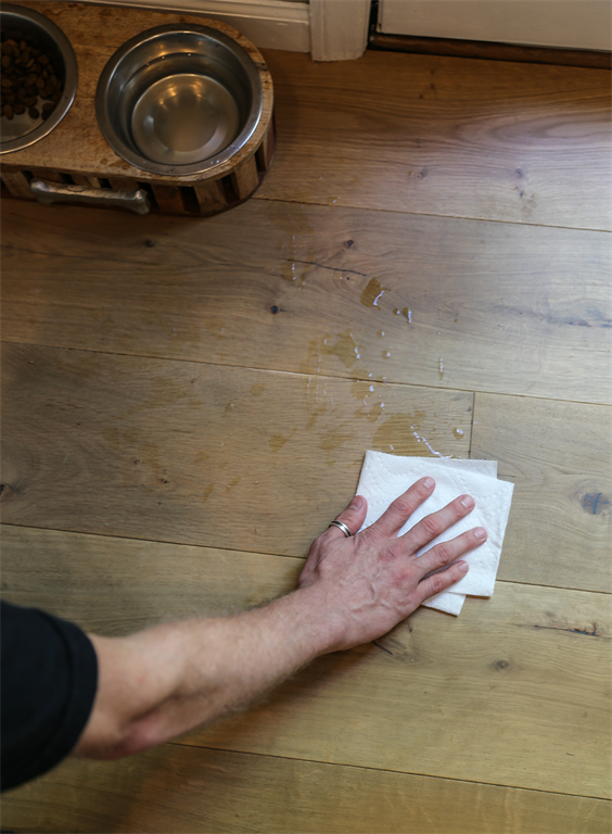 person maintaining wood floor by wiping up water spill from a pet bowl
