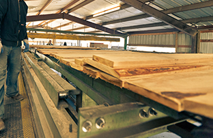 a variety of types of wood ready to be cut into floors